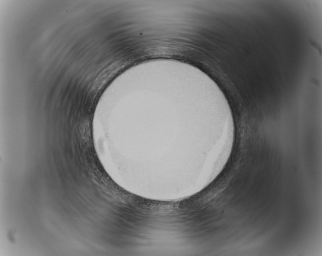 X0000103471121200810241007