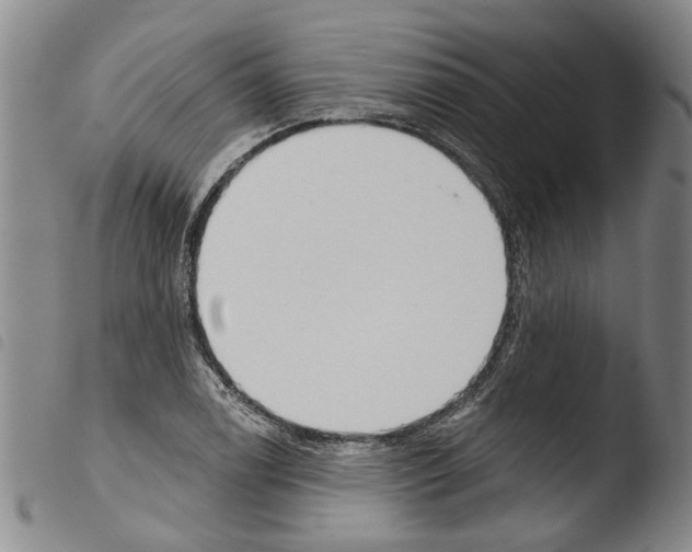 X0000103471122200810241007