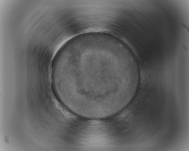 X0000103471124200810241007