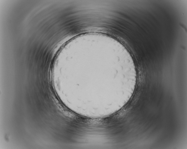 X0000103471125200810241007