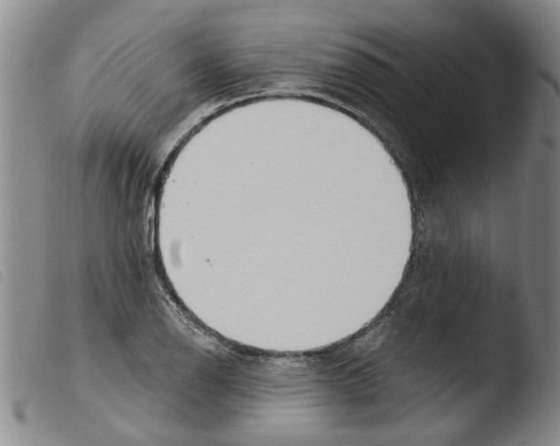 X0000103471126200810241007
