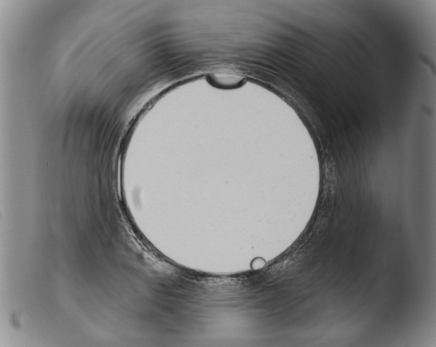 X0000103471127200810241007