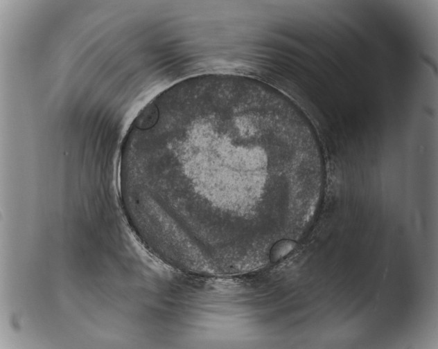 X0000103471128200810241007