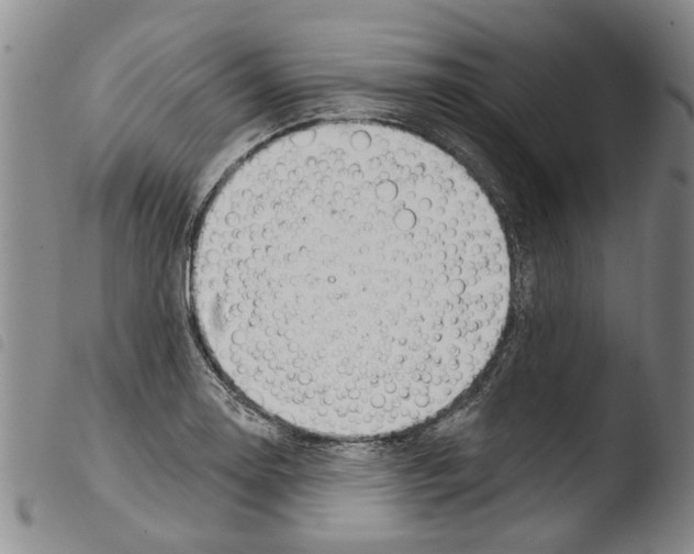 X0000103471130200810241007