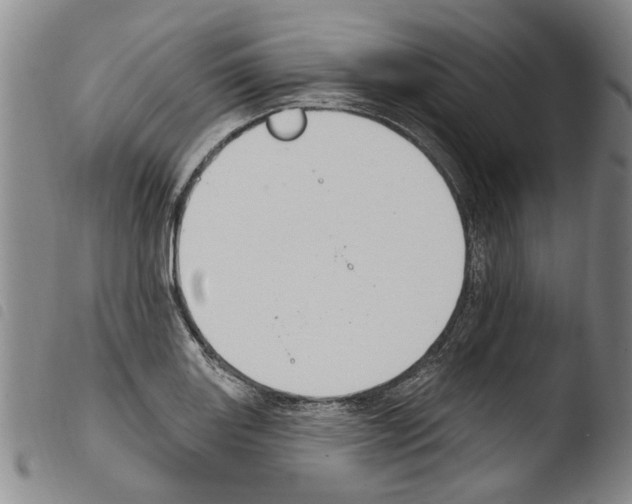 X0000103471131200810241007