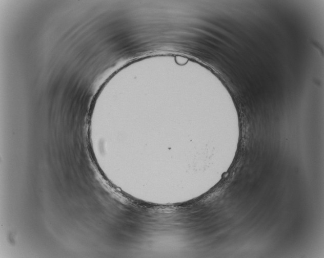 X0000103471134200810241007