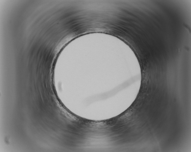 X0000103471135200810241007