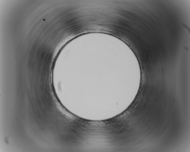 X0000103471136200810241007