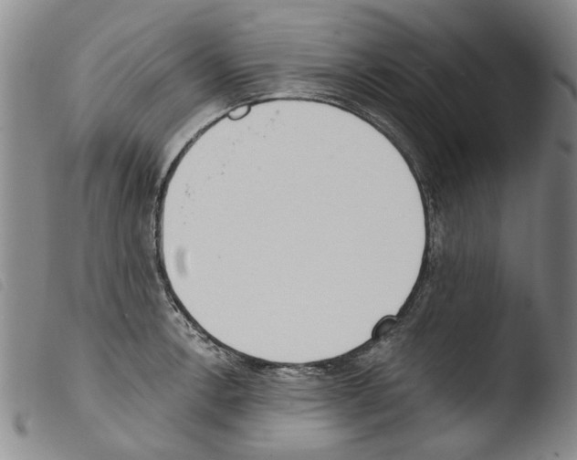X0000103471138200810241007