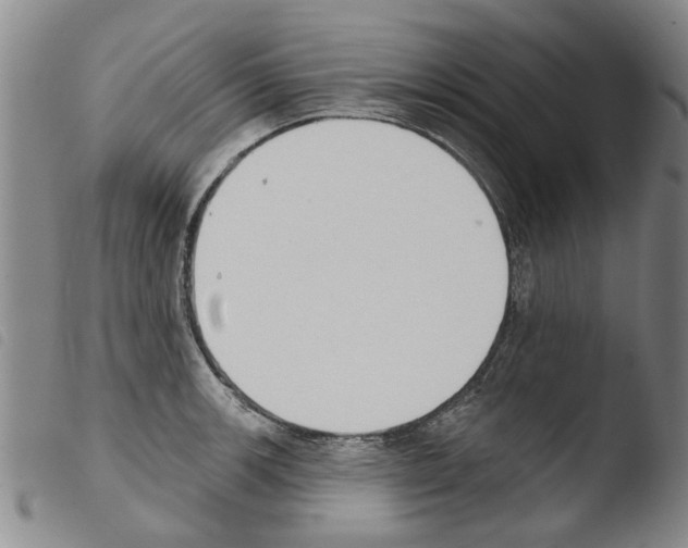 X0000103471139200810241007