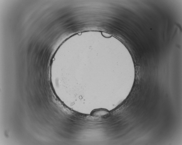 X0000103471140200810241007