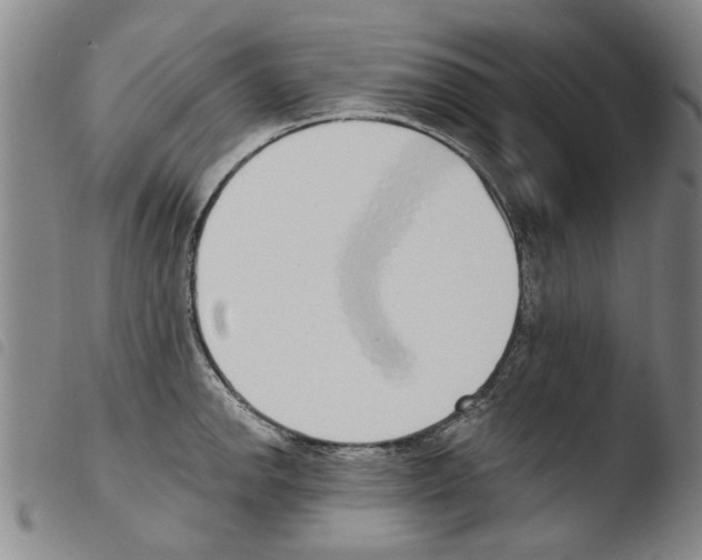 X0000103471142200810241007