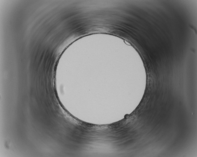 X0000103471143200810241007