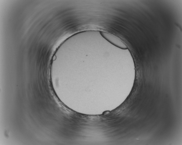 X0000103471144200810241007