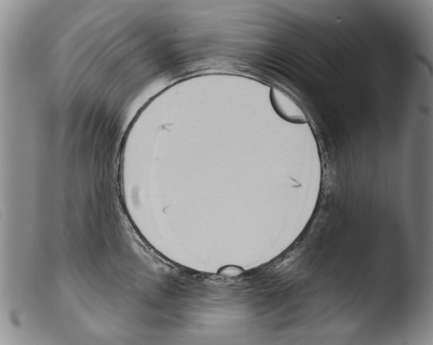 X0000103471146200810241007