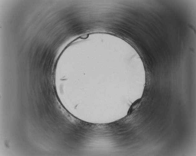 X0000103471148200810241007