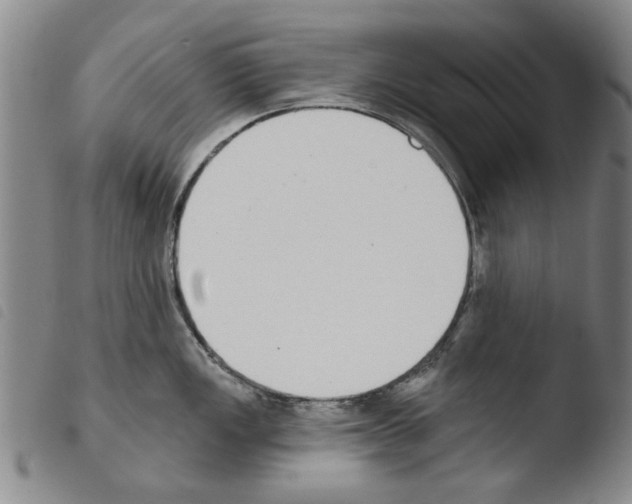 X0000103471149200810241007