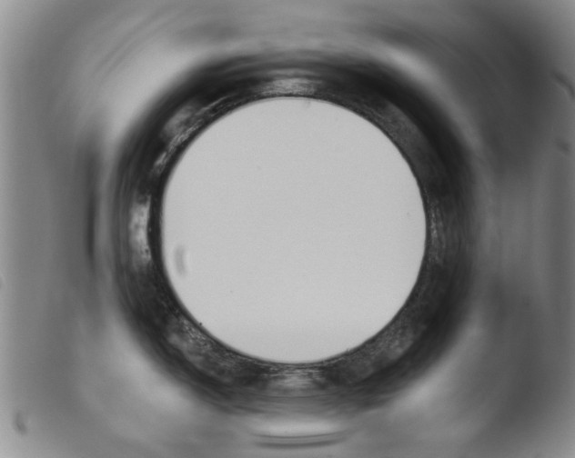 X0000103471150200810241007