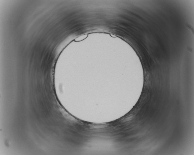 X0000103471151200810241007