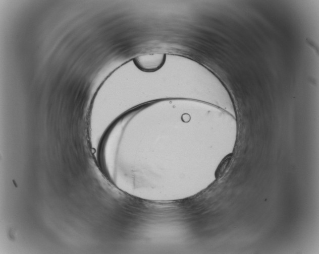 X0000103471152200810241008