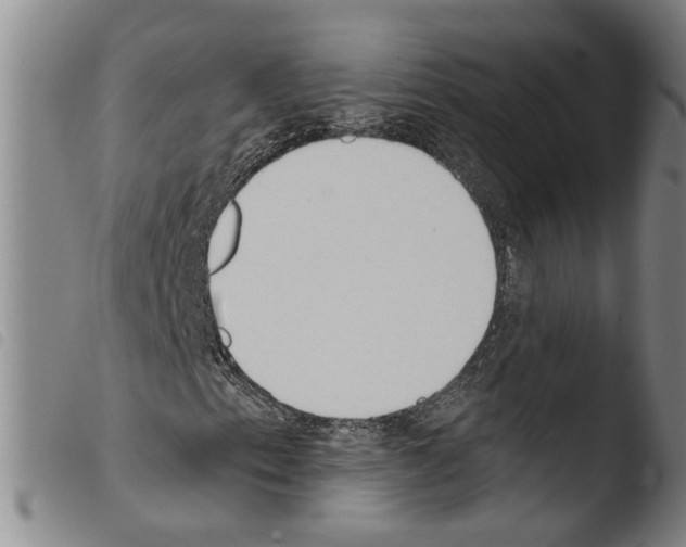 X0000103471153200810241007