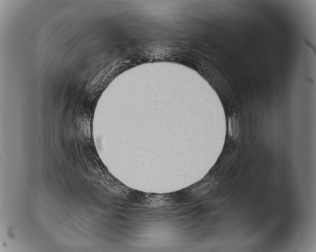 X0000103471155200810241007