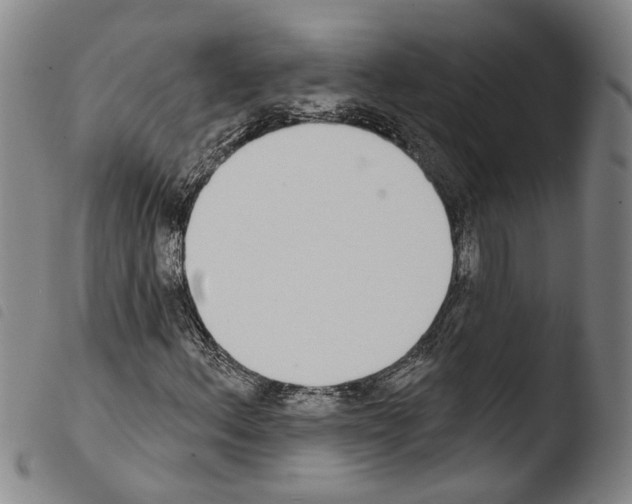X0000103471156200810241007