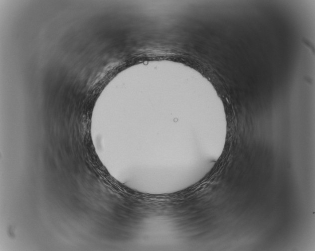 X0000103471157200810241007