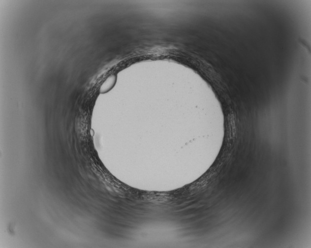 X0000103471158200810241007