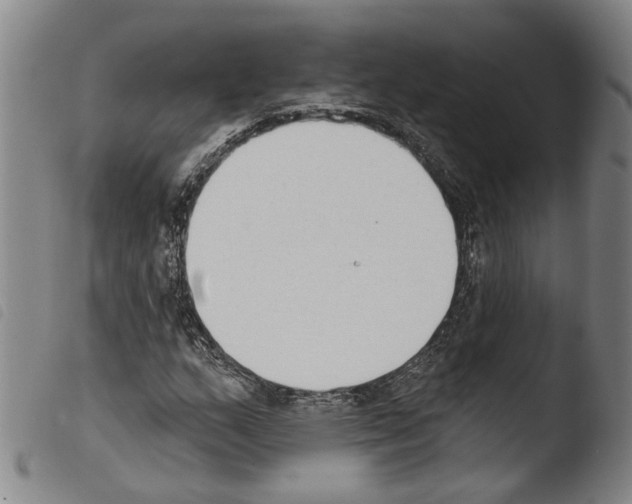 X0000103471159200810241007