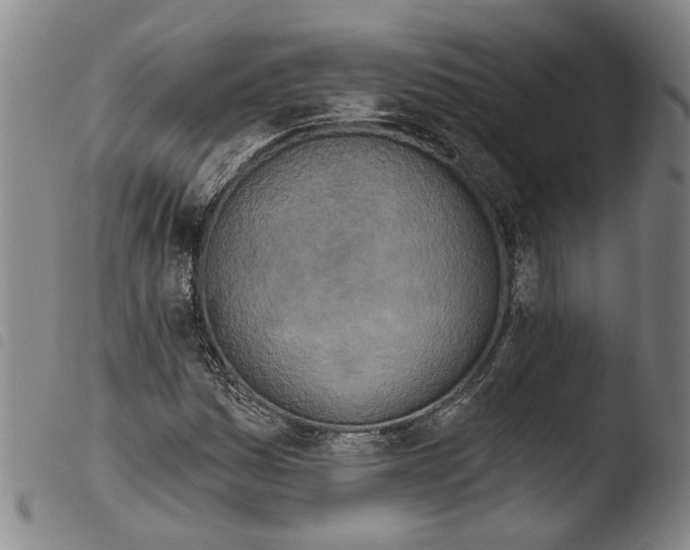 X0000103471161200810241007