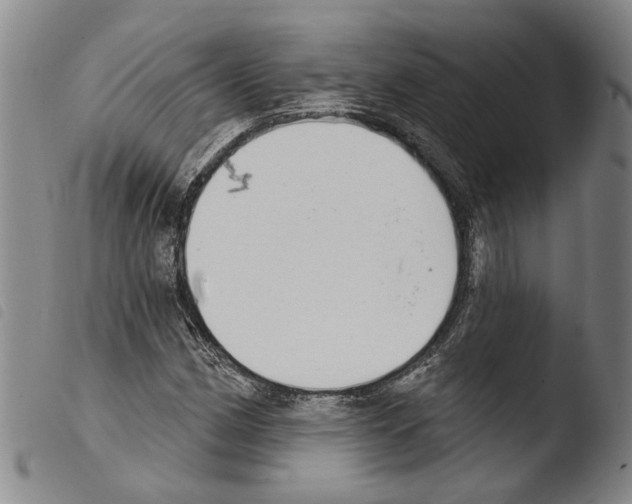 X0000103471162200810241007