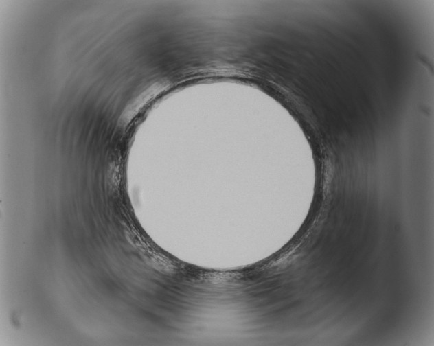 X0000103471163200810241007