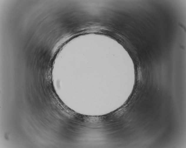 X0000103471164200810241007