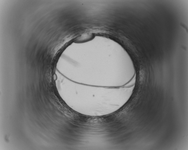 X0000103471165200810241007