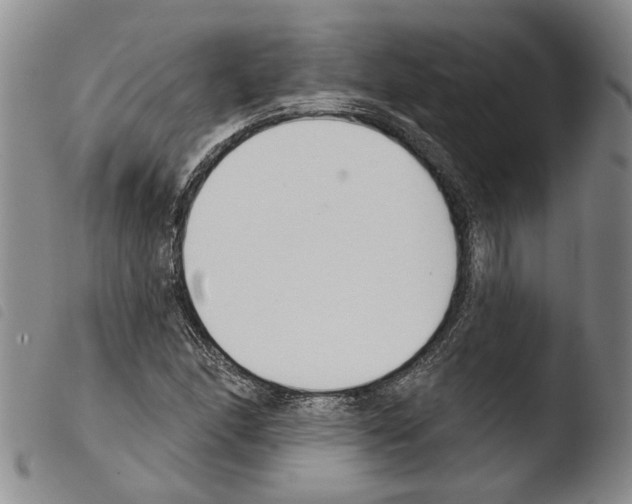 X0000103471166200810241007