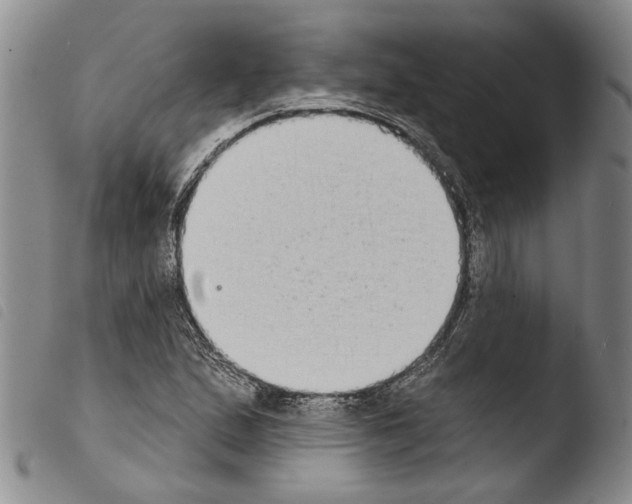 X0000103471167200810241007