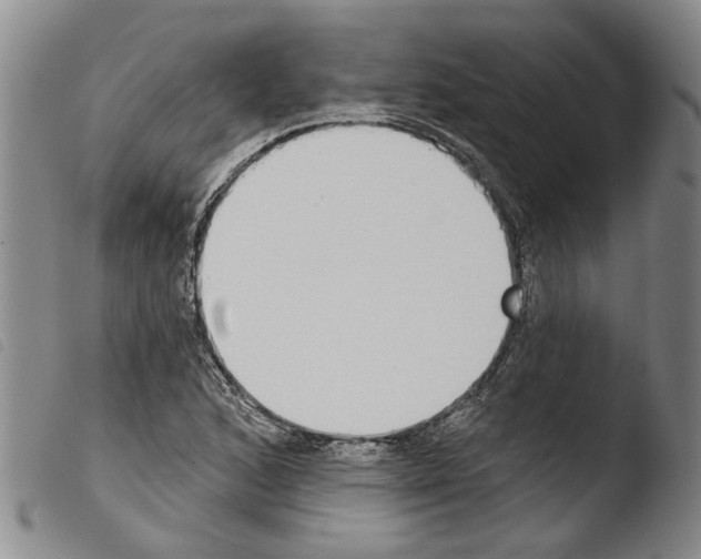 X0000103471168200810241007