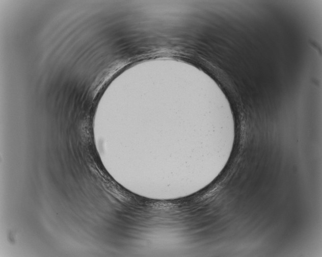 X0000103471170200810241007