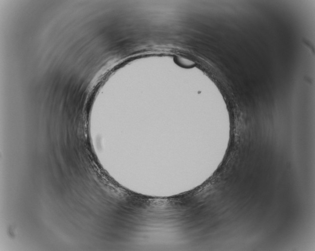 X0000103471172200810241006