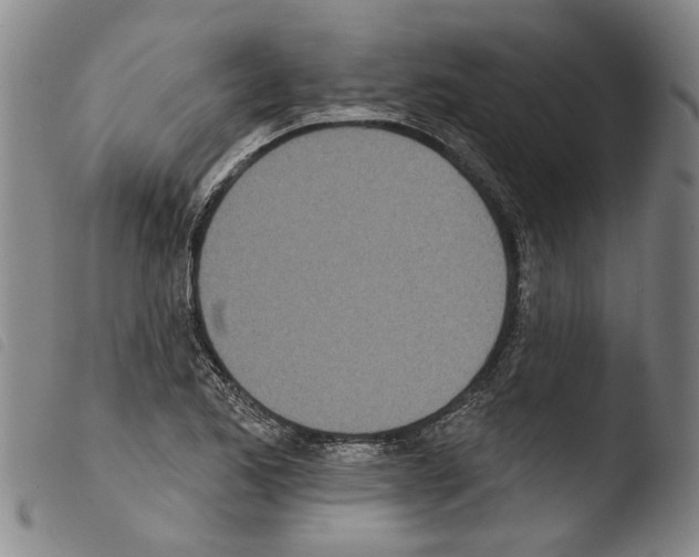 X0000103471173200810241006