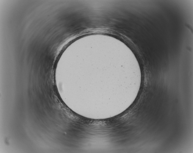 X0000103471174200810241006