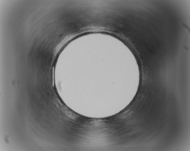 X0000103471175200810241006