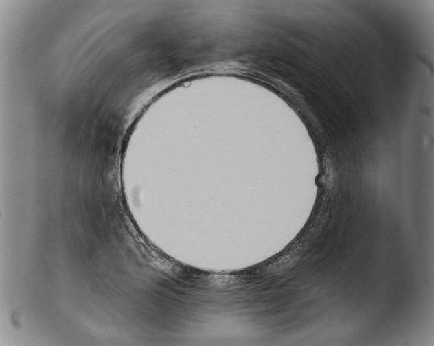 X0000103471176200810241006