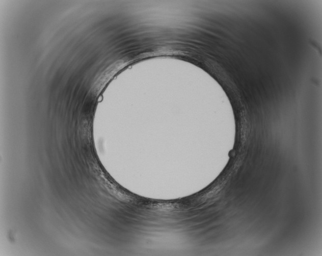 X0000103471177200810241006