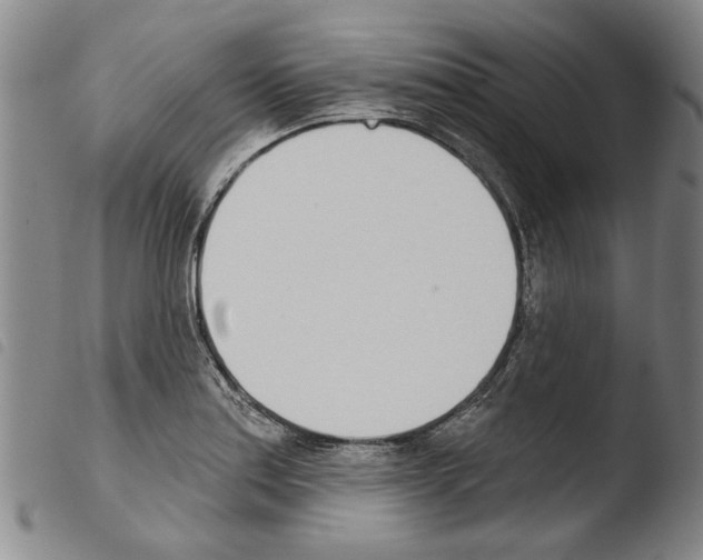 X0000103471179200810241006