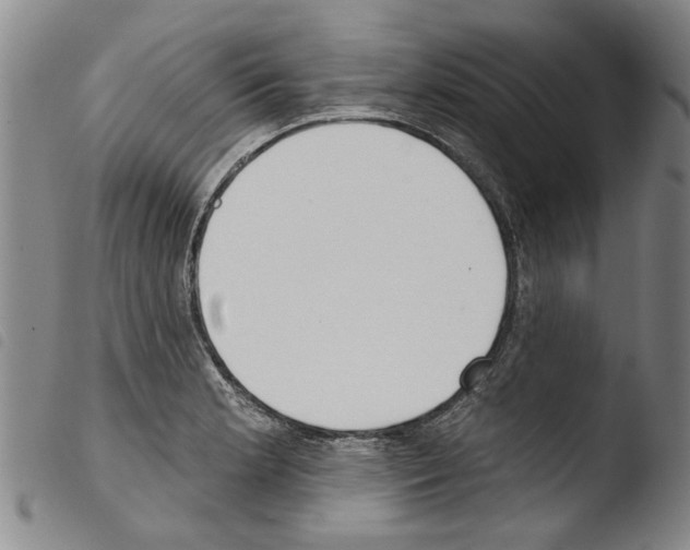 X0000103471181200810241006