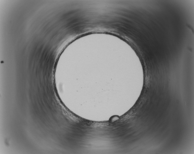 X0000103471183200810241006