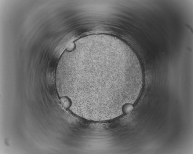 X0000103471185200810241006