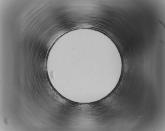X0000103471186200810241006